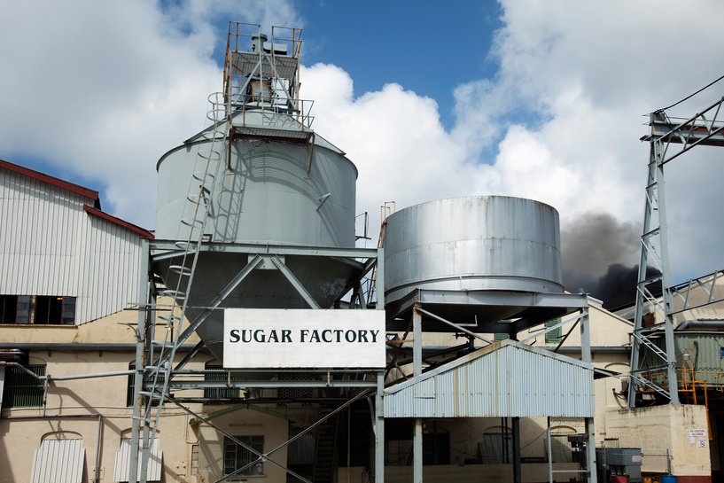 Paper Mills